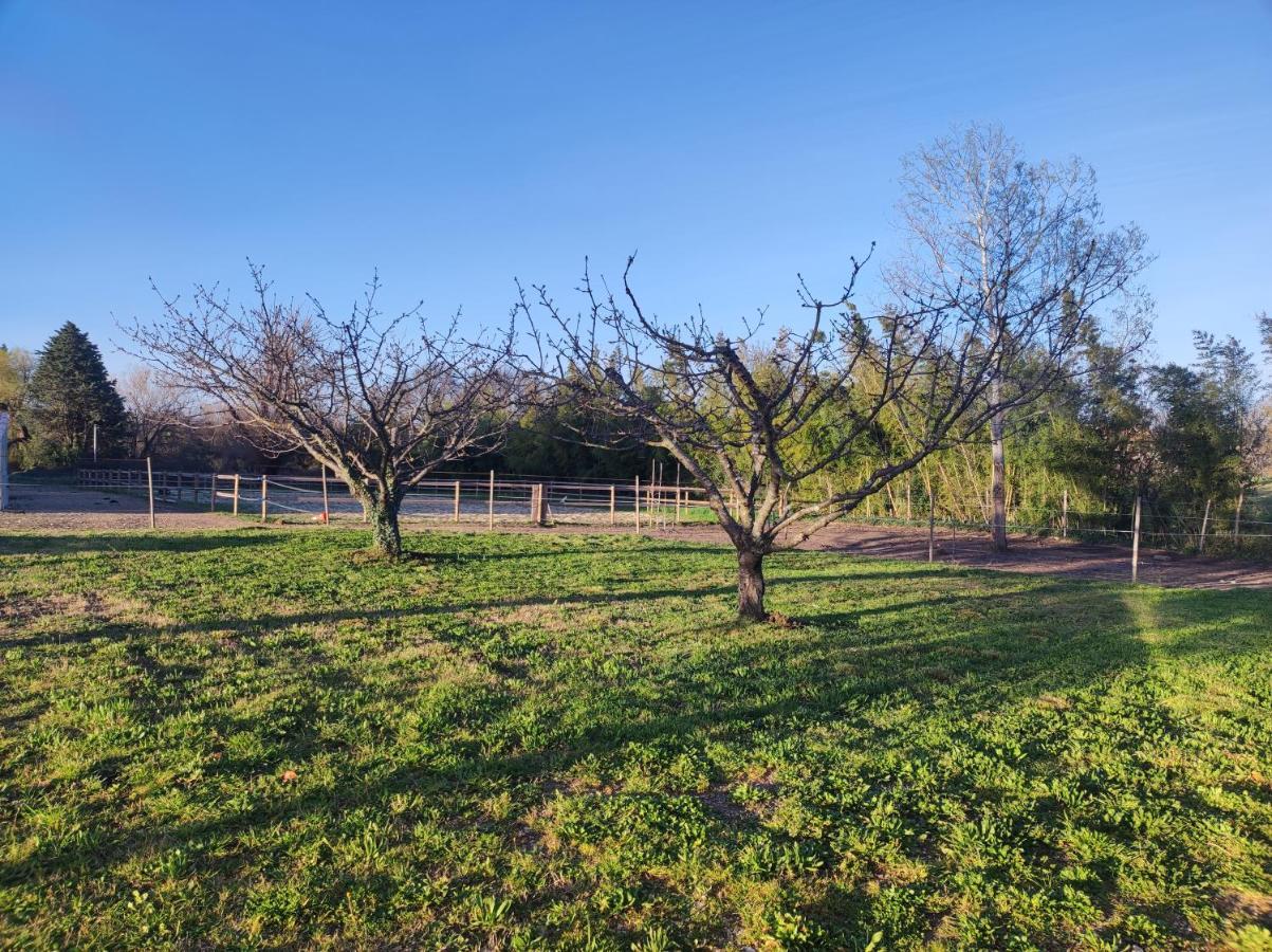 Maison A La Campagne Bouchet  المظهر الخارجي الصورة